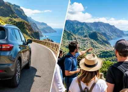 Rental Car or Tours in Madeira: Which Fits?